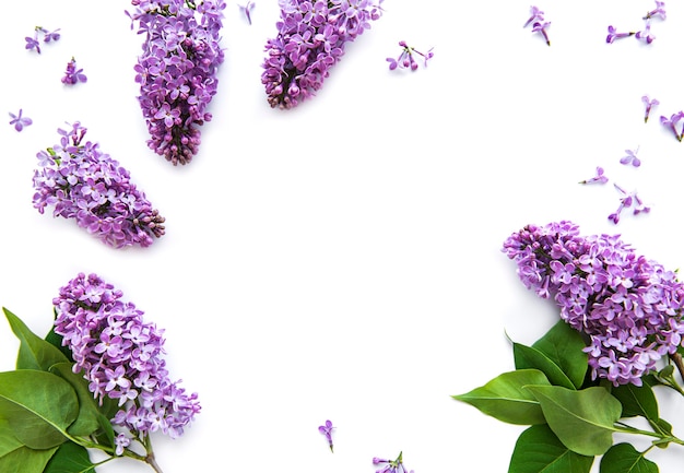 Branches and flowers of lilac on a white surface