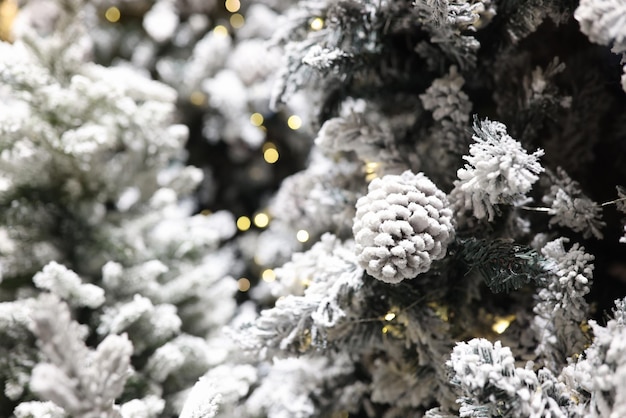 Branches of frosty christmas tree with cones and lights of garlands as background christmas