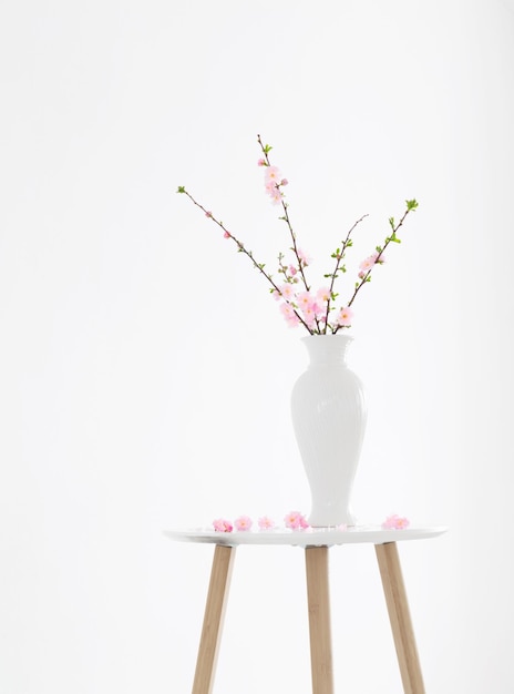 Фото Ветви цветущего миндаля в вазе на белом фоне