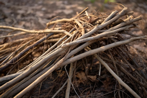 Photo branches pile dry twigs pile ready for campfire sticks boughs heap for a fire dry thin branches brushwood generative ai illustration