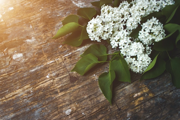 The branches of Purple lilac on a dark wooden background. Fallen lilac flowers on the table. Space for Text. Selective focus. Valentine's Day and Mother's Day background.