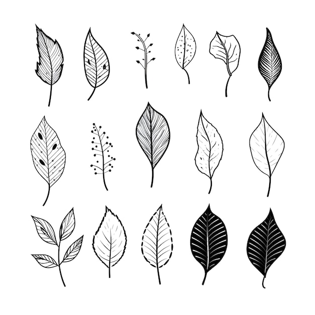 Foto rami di semplicità che esplorano l'eleganza delle foglie di piante bianche e nere