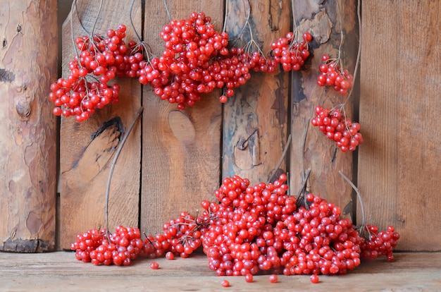 Branches of viburnum on a wooden table