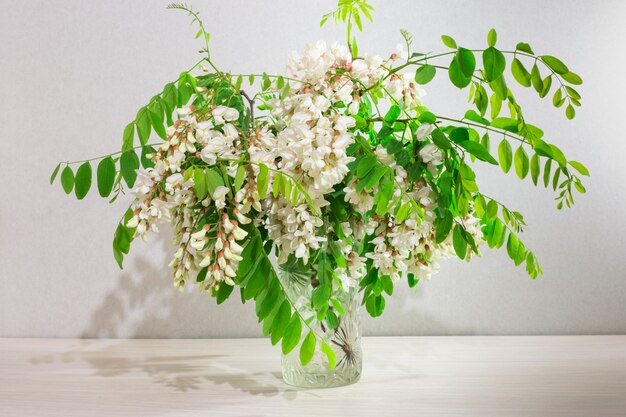 Branches with white acacia flowers in a transparent glass vase on a wooden table. Spring scents of nature.