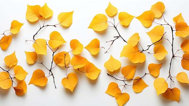 Branches with yellow autumn leaves isolated on white background