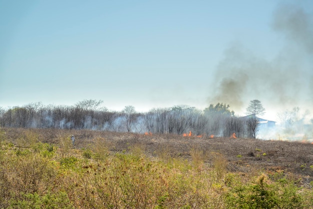 Foto brand en branden in het braziliaanse caatinga-biome pernambuco brazilië klimaatverandering