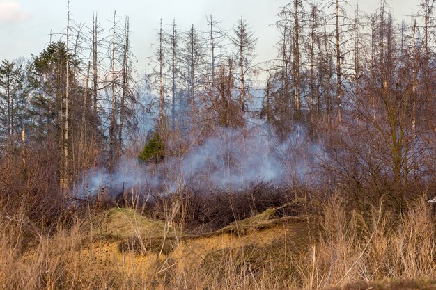 Brand in het bos bij droog weer