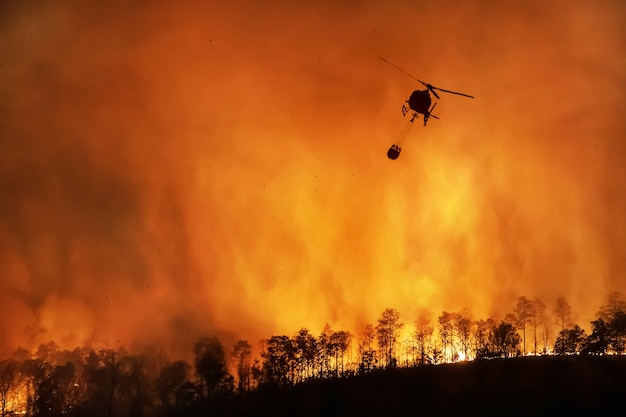 Brandbestrijdingshelikopter die een bosbrand blust