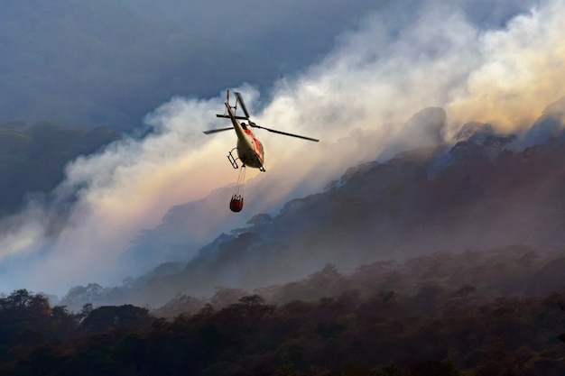 Brandbestrijdingshelikopter dragen wateremmer om de bosbrand te blussen