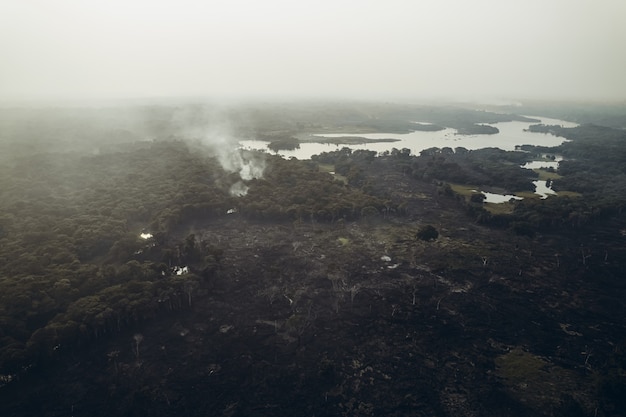 Brandend bos vanaf een hoge foto van hoge kwaliteit