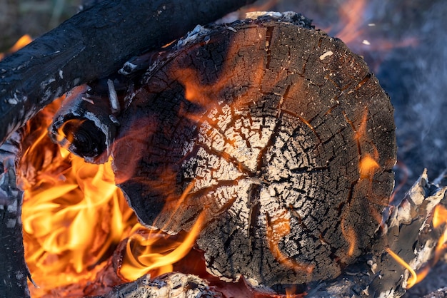 Brandend brandhout verbrande stomp in brand mooie verbrande houtpatroon houtstructuur ringen