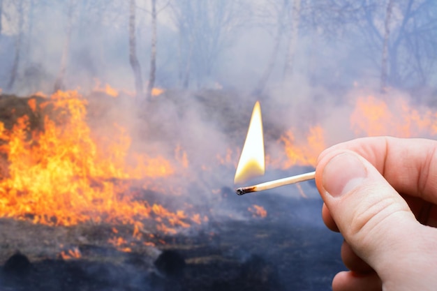 Brandende lucifer in de hand van een man en vlammen van wildvuur verspreiden zich door de bossen en velden op de achtergrond Wildvuur concept kleine lucifer veroorzaakt brand rampzalige gevolgen voor natuurmensen