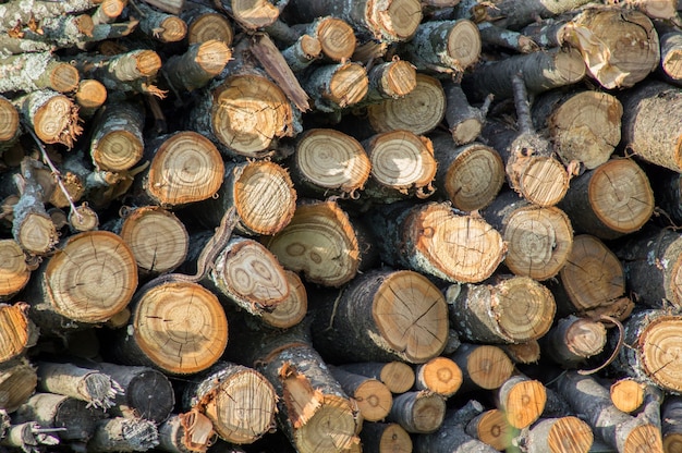 Foto brandhout achtergrond gehakt brandhout op een stapel close-up