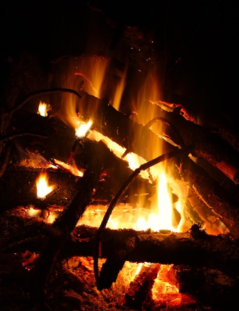 Brandhout branden bij het kampvuur donkere achtergrond