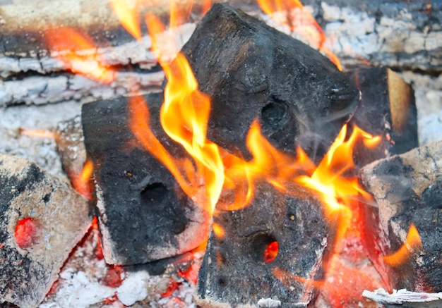 Brandhout brandt in een vuur