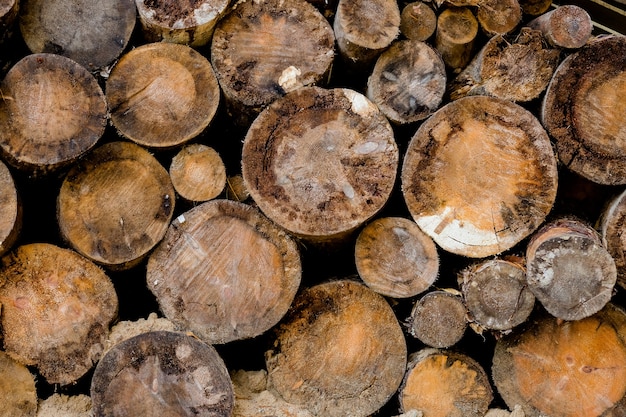 Brandhout - butt-ends van gehakte houtblokken, houten gestructureerde achtergrond. Natuurlijke ecologische achtergrond