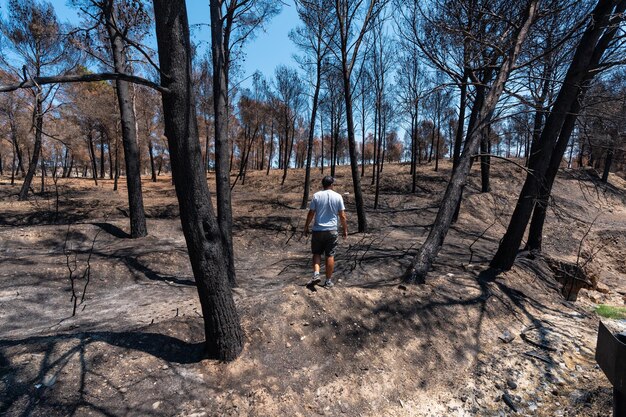 Brandstichting van een jonge man die door een bos loopt dat is afgebrand in een bosbrand klimaatverandering droogte zomer