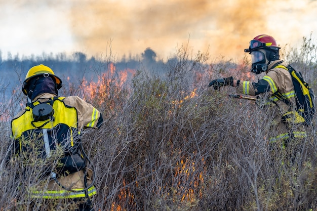 Brandweerlieden blussen een brand in het bos