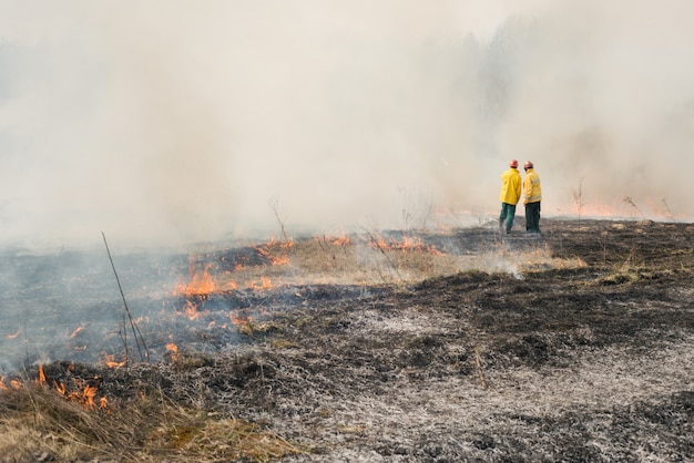 Brandweerlieden op verbrand landbouwterrein