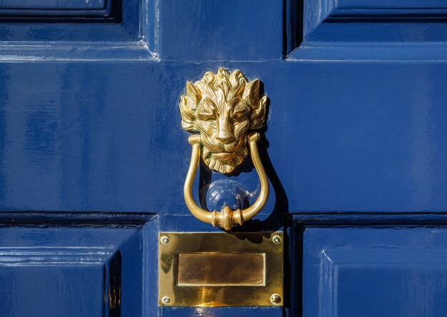 Brass Lion Head Door Knockers in London city