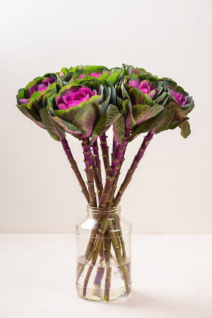 Brassica decorative cabbage in a vase