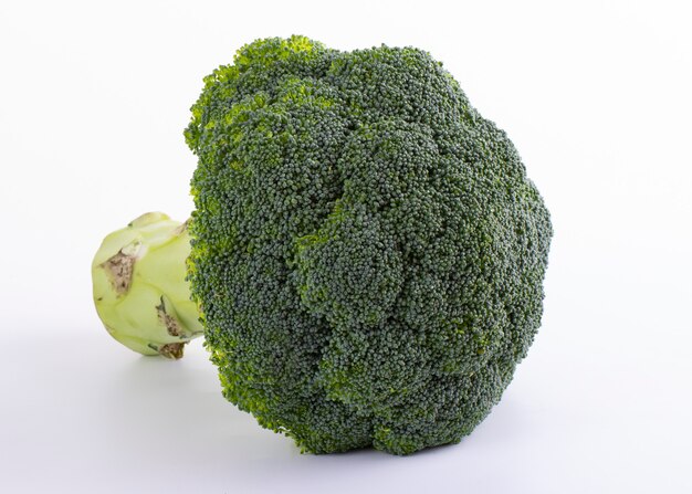 Brassica oleracea var italica Broccoli isolated against white background