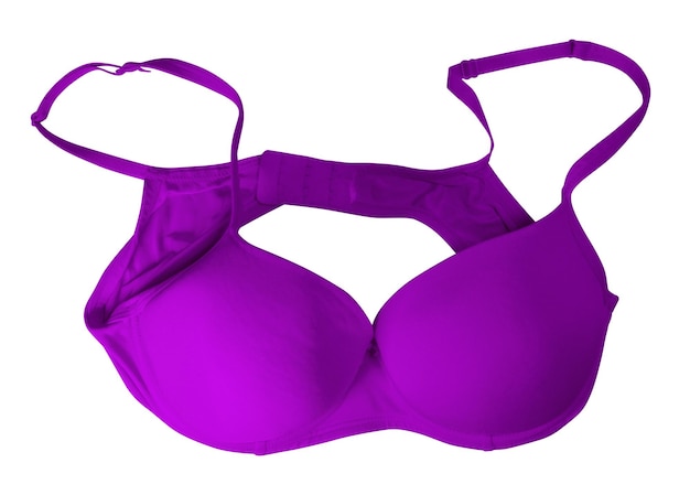 Brassiere isolated purple