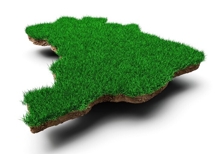 Brazil Map Grass and ground texture 3d illustration