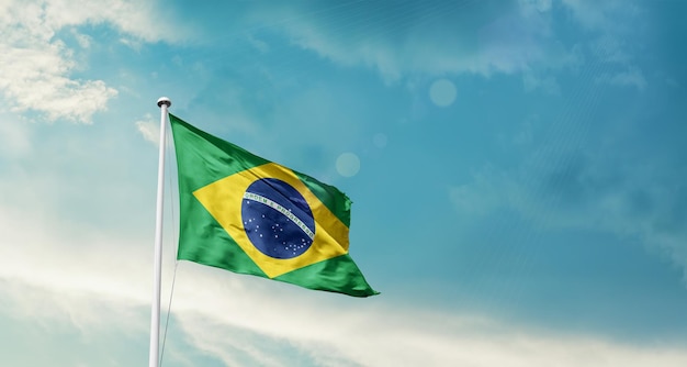 ブラジル国旗を振る