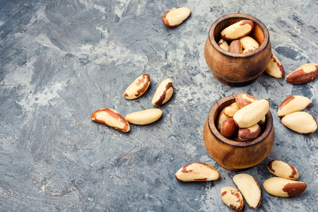 Brazil nut or Bertholletia