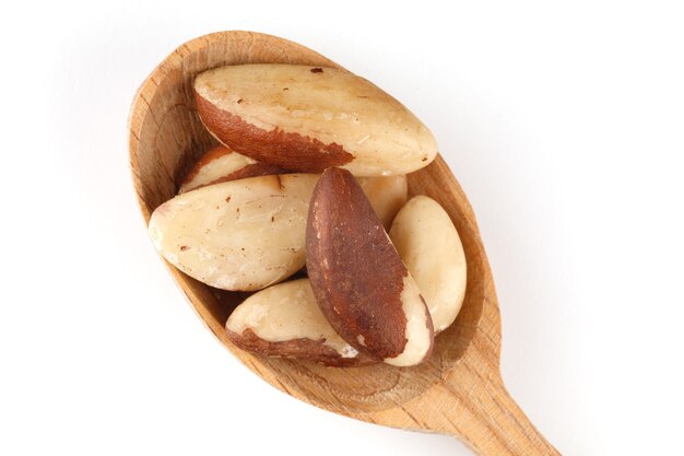 Brazil nut in a wooden spoon isolated