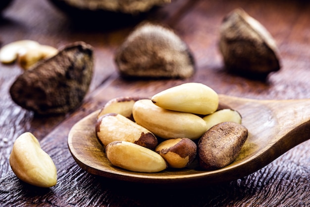 Brazil nuts, or Bolivian nuts, typical of the Amazon rainforest, exotic culinary ingredient