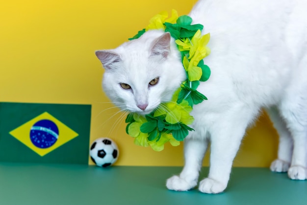 Brazil\'s fan cat white cat next to the brazilian flag