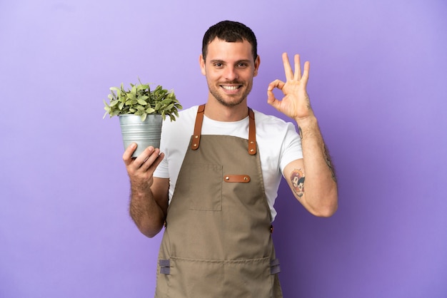 Braziliaanse tuinman die een plant vasthoudt over een geïsoleerde paarse achtergrond die een goed teken met vingers toont