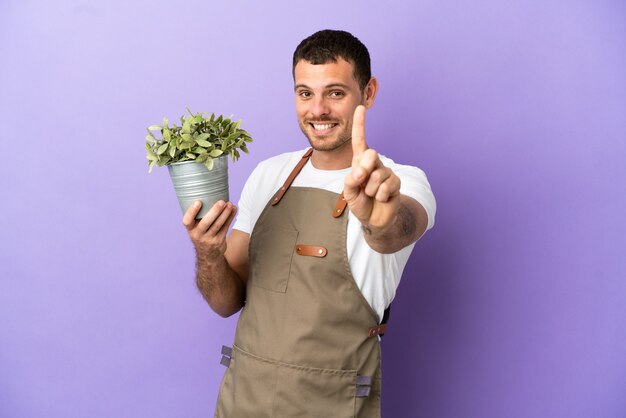 Braziliaanse tuinman die een plant vasthoudt over een geïsoleerde paarse achtergrond die een vinger laat zien en optilt