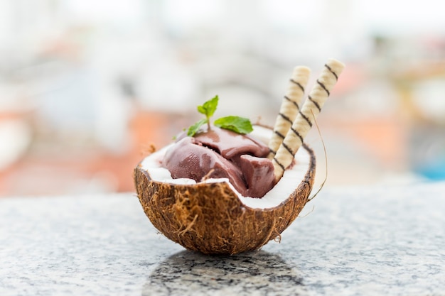 Brazilian AÃ§ai on a coconut shell with a city background.