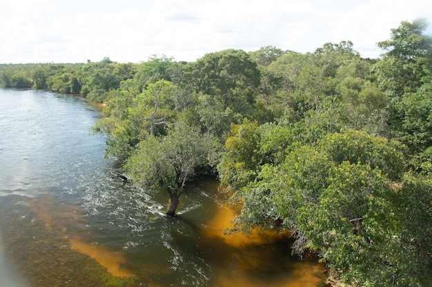 Brazilian cerrado landscape with Tocantins river