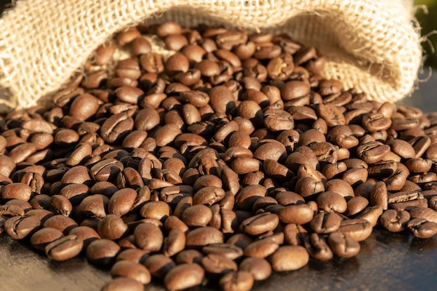 Foto chicchi di caffè brasiliani in borsa al sole