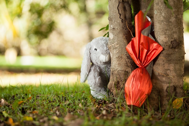 Brazilian Easters egg , wrapped in red paper under a tree, with a bunny in the wall