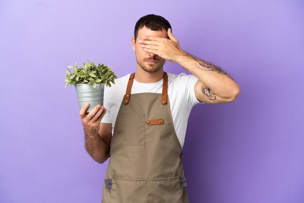 Uomo brasiliano del giardiniere che tiene una pianta sopra fondo porpora isolato che copre gli occhi con le mani. non voglio vedere qualcosa