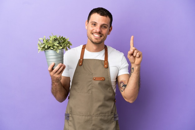 Brazilian Gardener man holding a plant over isolated purple background showing and lifting a finger in sign of the best