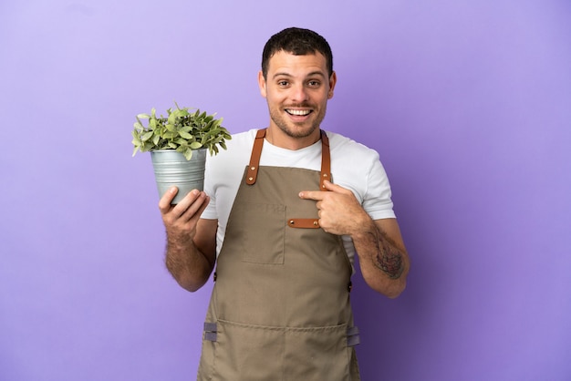 Brazilian Gardener man holding a plant over isolated purple background with surprise facial expression