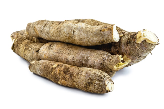 Brazilian manioc, a vegetable used in Brazilian cuisine, called macaxeira, "aipim", "sweet manioc"