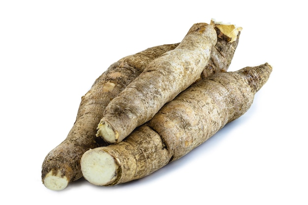 Brazilian manioc, a vegetable used in Brazilian cuisine, called macaxeira, "aipim", "sweet manioc"