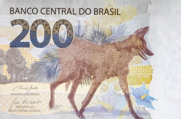 Photo brazilian real currency money dinheiro brasil reais