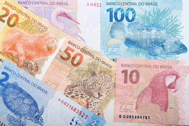 Brazilian Reals bills