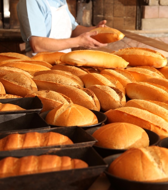 Bread Bakery