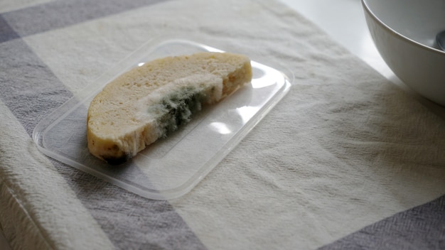 Photo bread is moldy on a plastic tray in the kitchen.