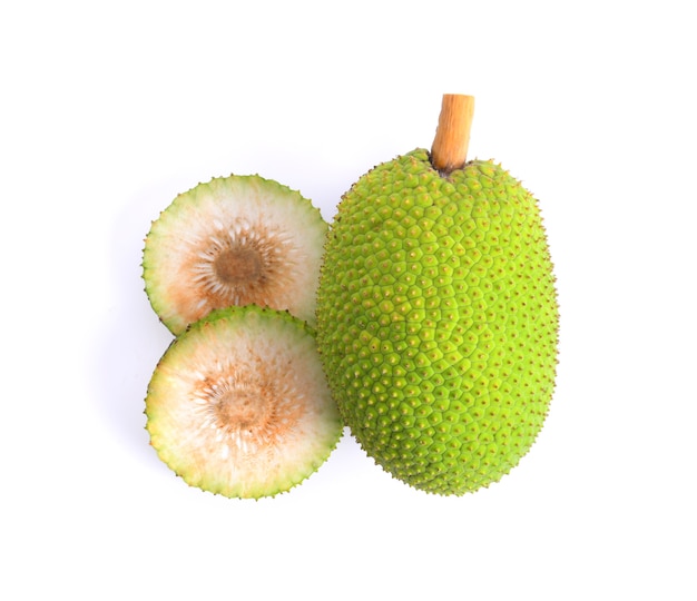 白い背景に隔離されたbreadfruit