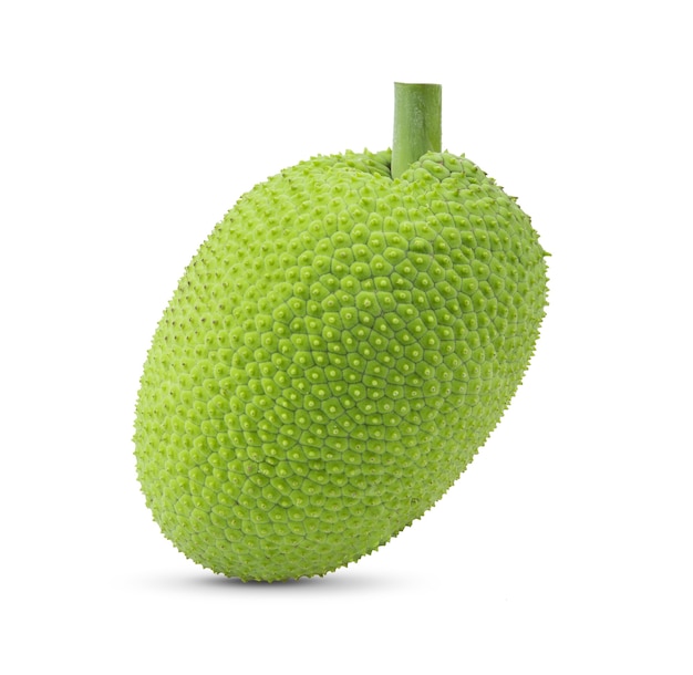 Breadfruit isolated